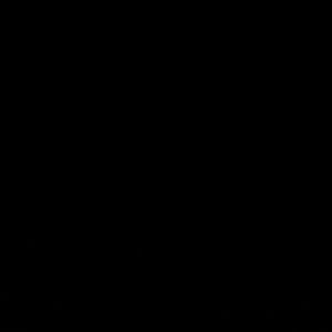 Meet your Posher, Belvin